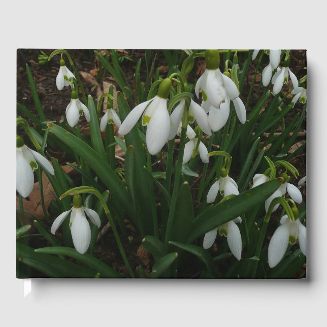 Libro De Visitas Flores de Primavera Blanca (Galanthus) (Anverso)