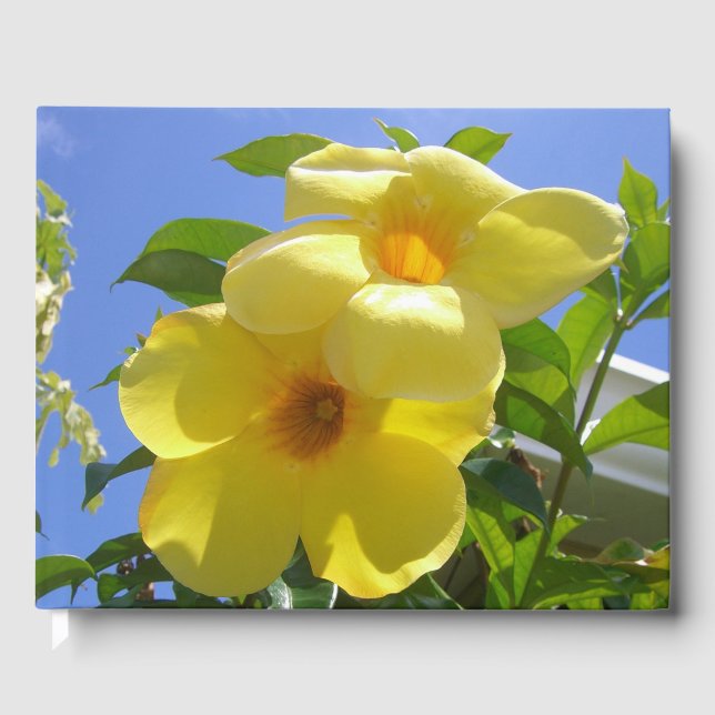 Libro De Visitas Flores de trompeta doradas I (Anverso)