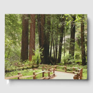 Libro De Visitas Fotografía de la naturaleza de Muir Woods Path I