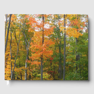 Libro De Visitas Fotografía de la naturaleza otoñal en árboles de a