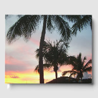 Fotografía de paisajes tropicales de palmas de sol