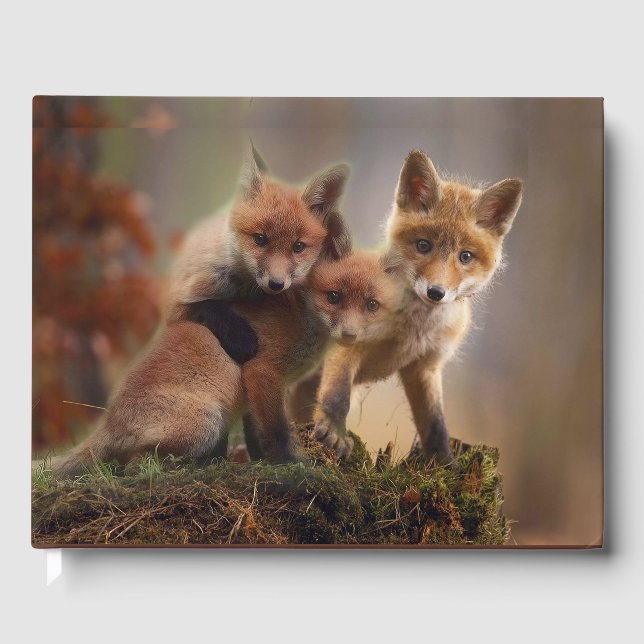Libro De Visitas Foxy Triplets (Anverso)
