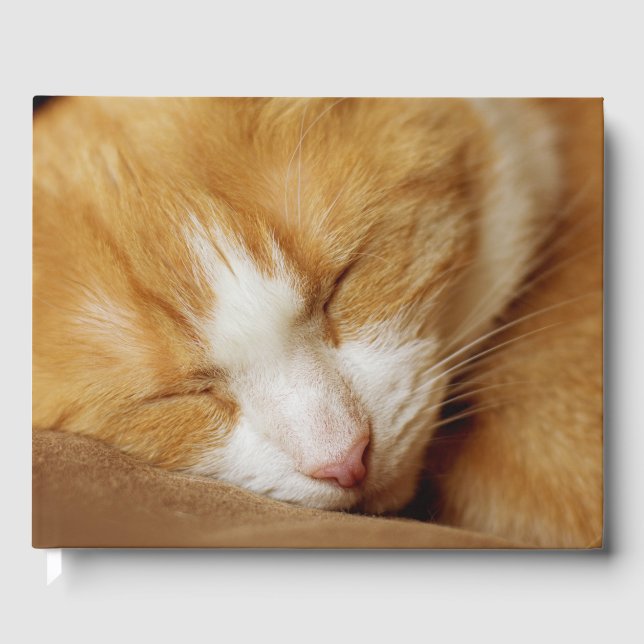 Libro De Visitas Gatito durmiente (Anverso)