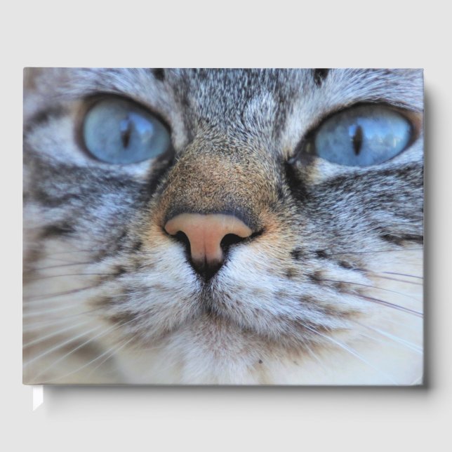 Libro De Visitas Gato gris (Anverso)