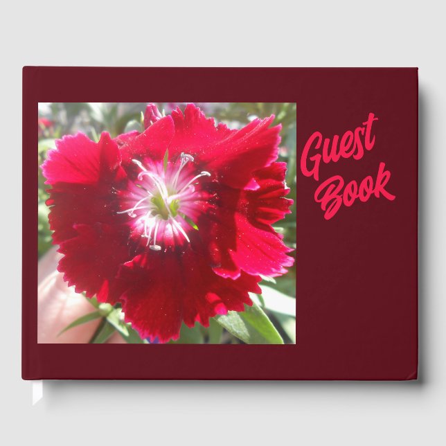 Libro De Visitas Geertje (Anverso)