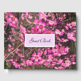 Libro De Visitas Geraldton Wax