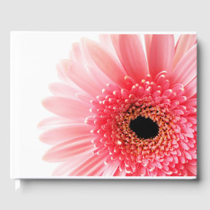 Libro De Visitas Gerbera Daisy