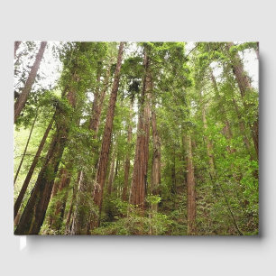 Libro De Visitas Hasta secuoyas en el Monumento Nacional Muir Woods