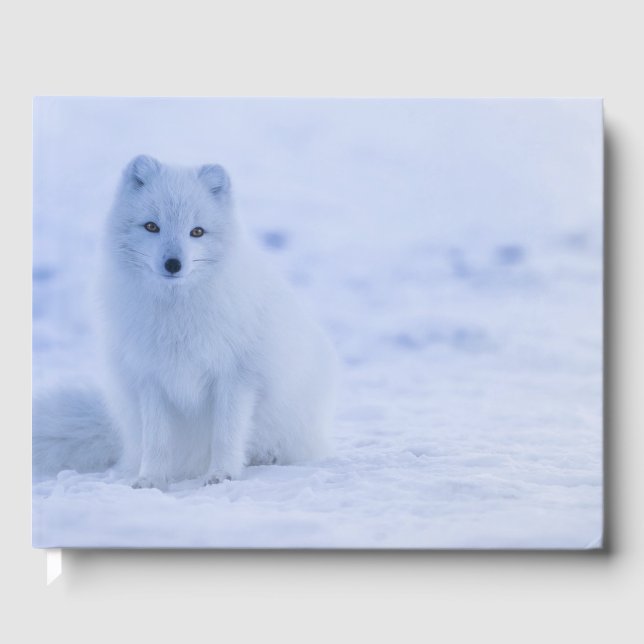 Libro De Visitas Hermosa Fox Ártica (Anverso)