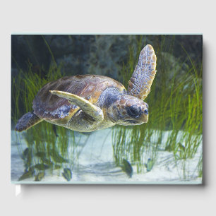 Libro De Visitas Hermosa Tortuga Marítima Nadando