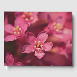 Libro De Visitas Hermosas flores rosas