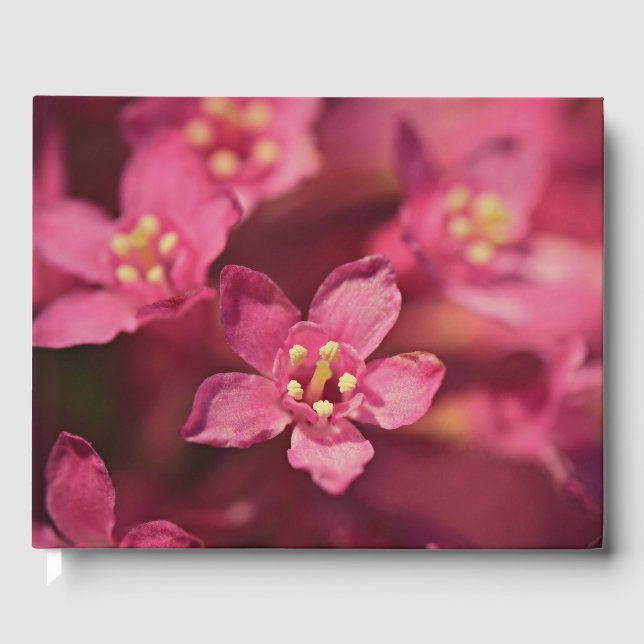 Libro De Visitas Hermosas flores rosas (Anverso)