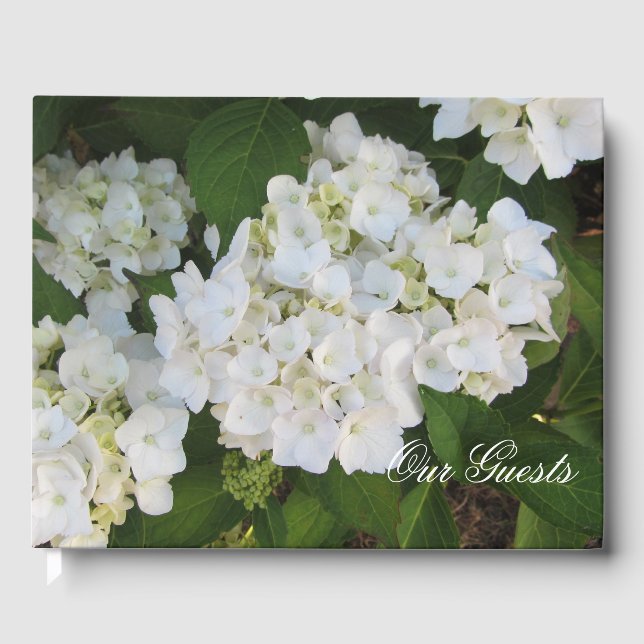 Libro De Visitas Hermosas Hydrangeas Blancas (Anverso)