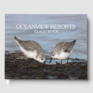 Libro De Visitas Hospitalidad de aves cortas / Vida silvestre / Res