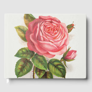 Libro De Visitas Ilustración floral de rosa rosa antigua Cottagecor