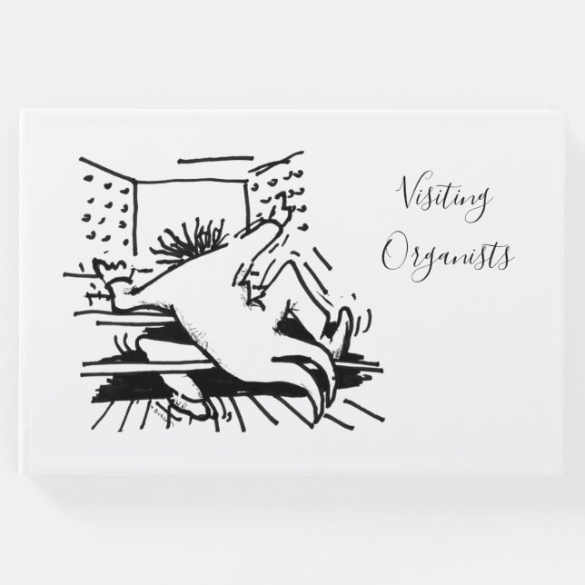 Libro de visitas informal para los organizadores v (Anverso)