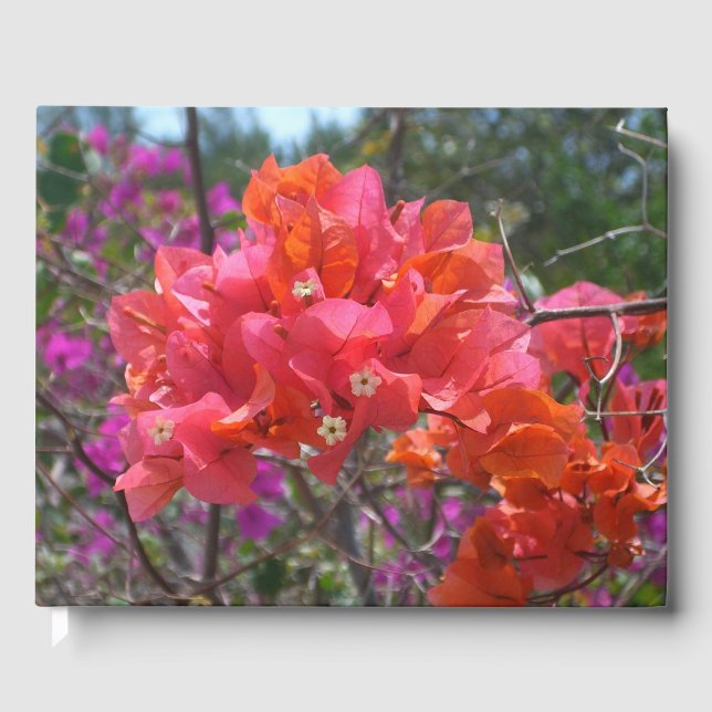 Libro De Visitas Isla Tropical Rosa Bougainvillea Floral (Anverso)