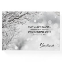 La nieve esparcido y la boda helada de invierno