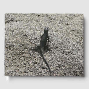 Libro De Visitas Lagarto Negro
