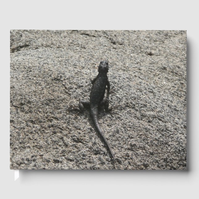 Libro De Visitas Lagarto Negro (Anverso)