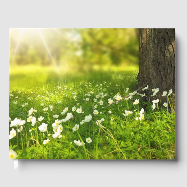 Libro De Visitas Las alegrías de la primavera (Anverso)