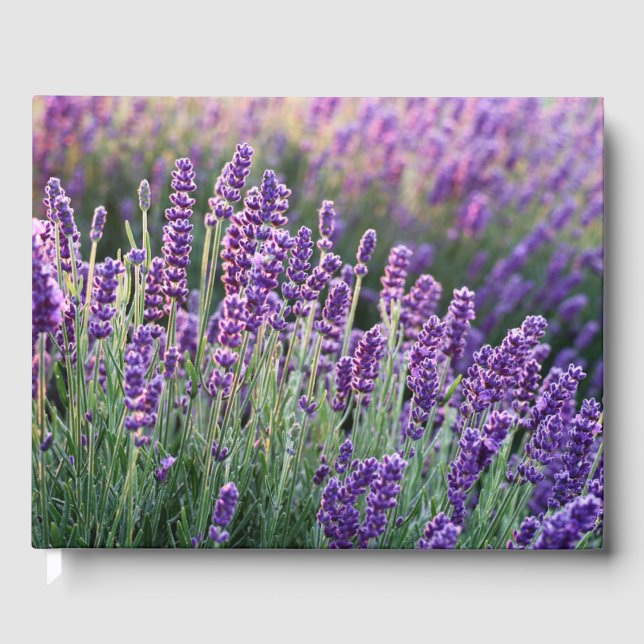 Libro De Visitas Lavanda lúcida (Anverso)