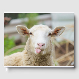 Libro De Visitas Lengua de presentación de las ovejas