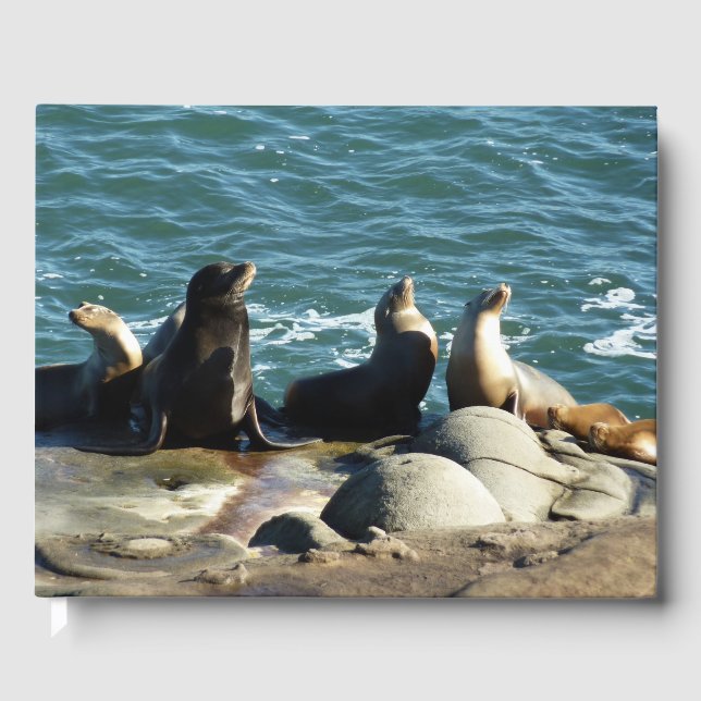 Libro De Visitas Leones marinos de San Diego (Anverso)