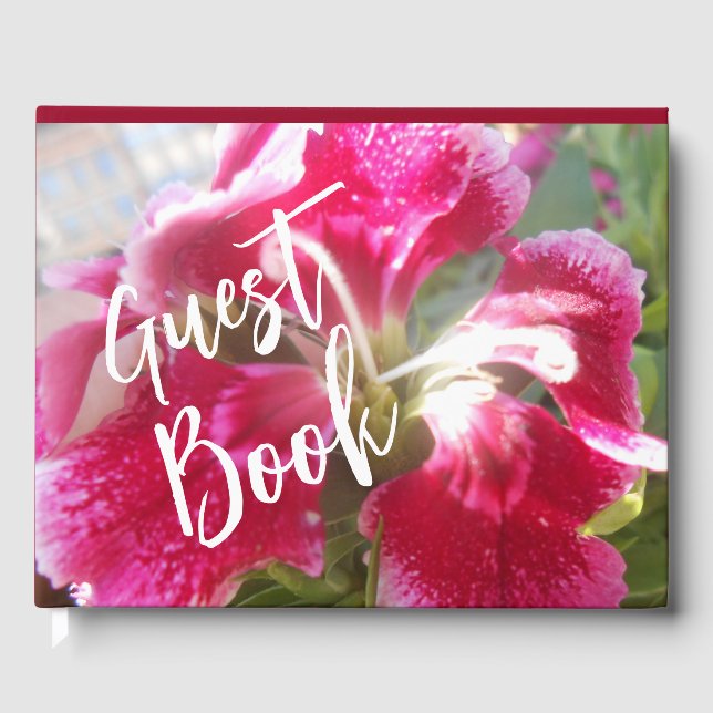 Libro De Visitas Lodovica (Anverso)