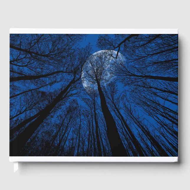 Libro De Visitas Luna en el cielo nocturno (Anverso)