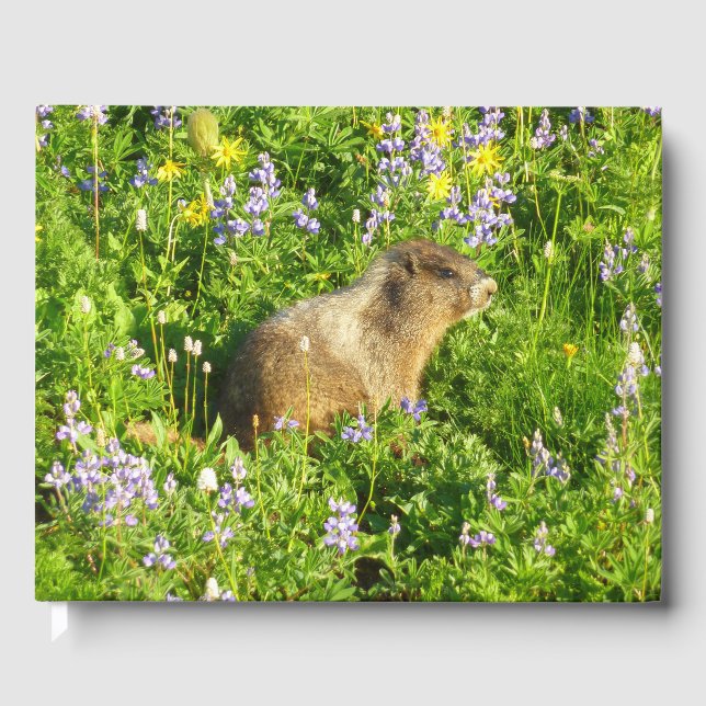 Libro De Visitas Marmota en flores silvestres del Monte Rainier (Anverso)
