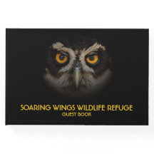 Mesmerizando los ojos dorados de una lechuza espec