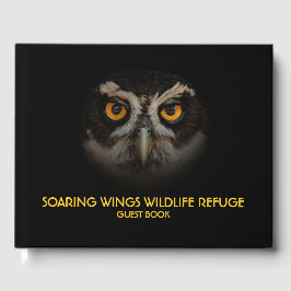 Libro De Visitas Mesmerizando los ojos dorados de una lechuza espec
