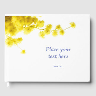 Libro De Visitas Mimosa