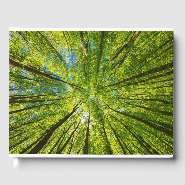 Libro De Visitas Mirando a través de hojas de árboles verdes (Anverso)