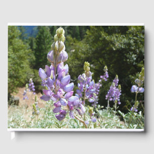 Libro De Visitas Montaña Lupins en Yosemite