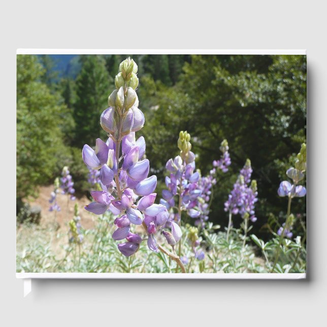 Libro De Visitas Montaña Lupins en Yosemite (Anverso)