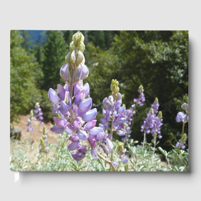Libro De Visitas Montaña Lupins en Yosemite (Anverso)