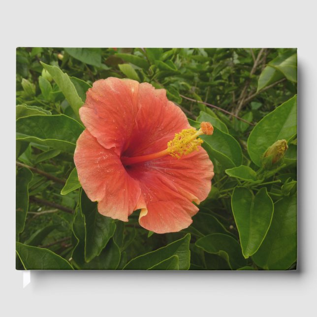Libro De Visitas Naranja Hibiscus Flower Tropical Floral (Anverso)