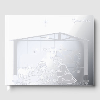 Libro De Visitas Natividad