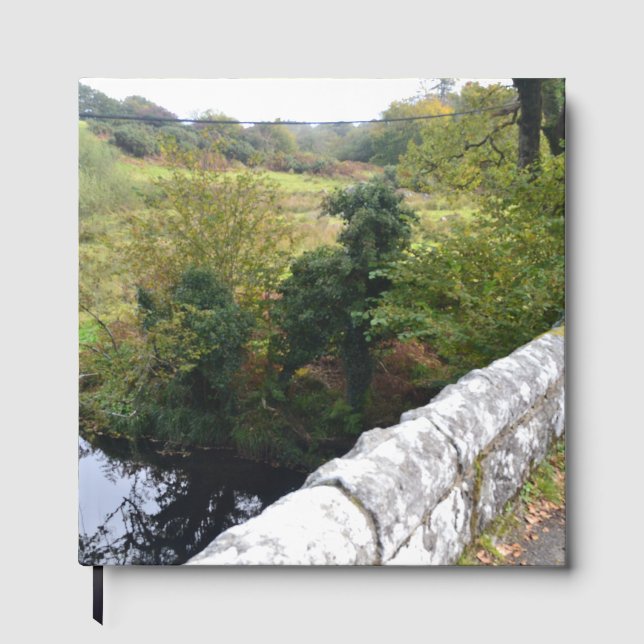 Libro De Visitas nature way of impersonating animals (Anverso)