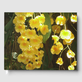 Libro De Visitas Orquídeas Amarillas colgando flores tropicales
