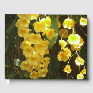 Libro De Visitas Orquídeas Amarillas colgando flores tropicales