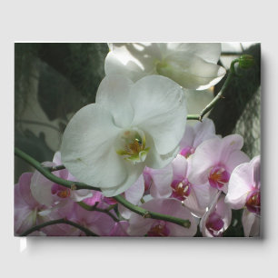 Libro De Visitas Orquídeas blancas y moradas