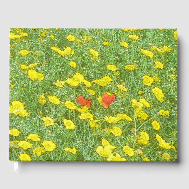 Libro De Visitas Papas acuáticas (Anverso)