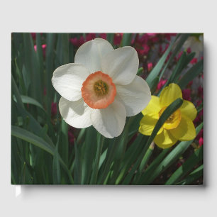 Libro De Visitas Par de Narcisos Rosas y Amarillos Flores de Primav