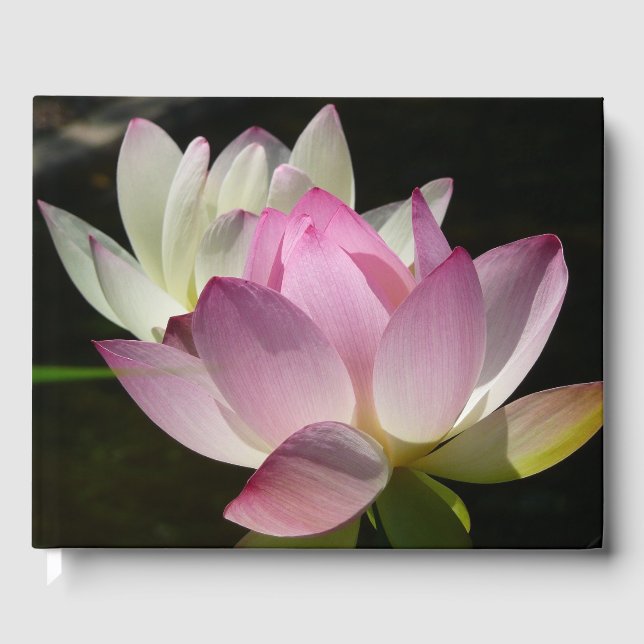 Libro De Visitas Pareja de flores de Lotus II (Anverso)