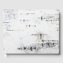 Patrón de la corteza de Birch