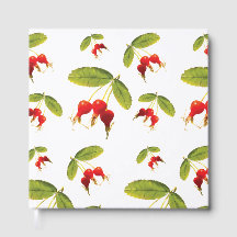 Patrón de Rosehips 4 ángulos
