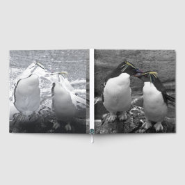 Libro De Visitas Penguin Colour Splash